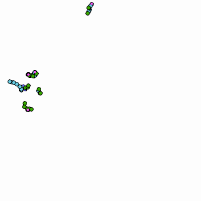 Export Image